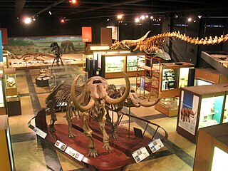 University of Michigan Museum of Natural History